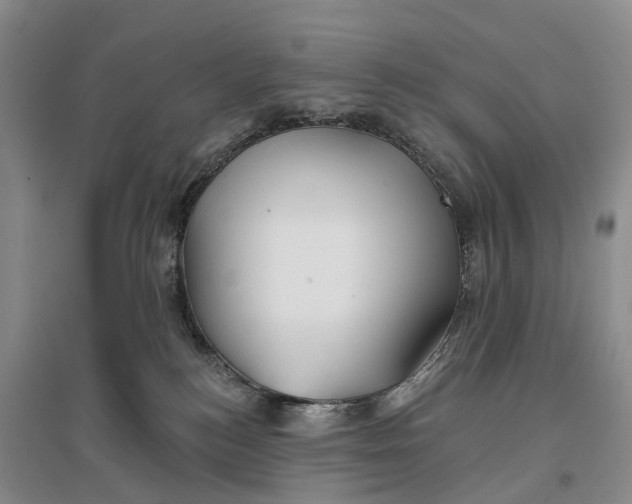 X0000096710184200802261638