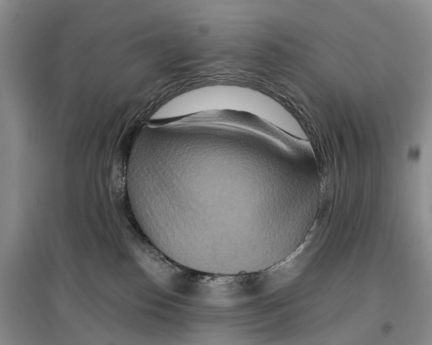 X0000096710186200802261638