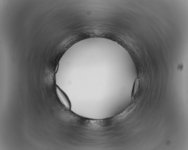 X0000096710188200802261638