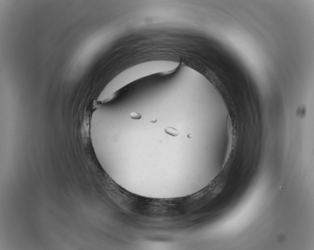 X0000096710190200802261638