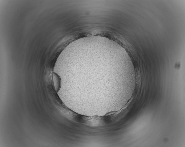 X0000096710191200802261638