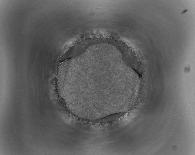 X0000096710192200802261638