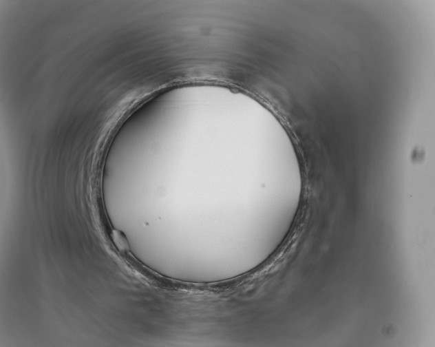 X0000096710193200802261637