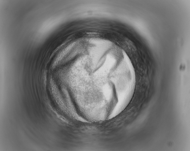 X0000096710194200802261637