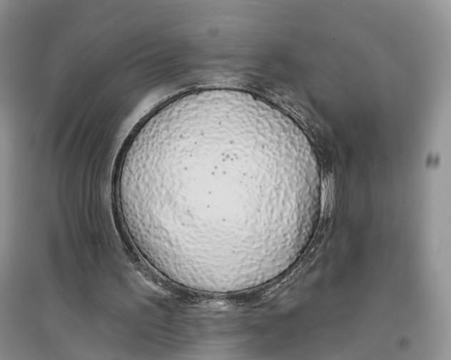 X0000096710195200802261637