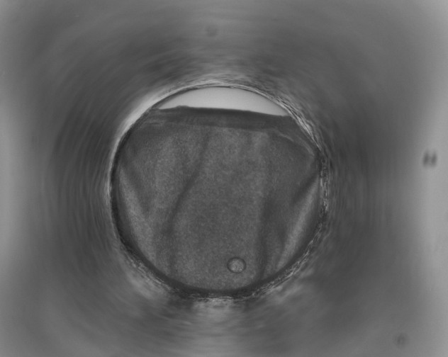 X0000096710196200802261637