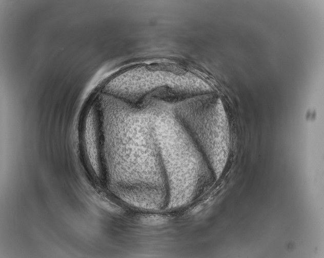 X0000096710198200802261637