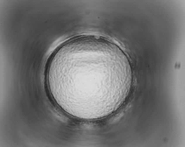 X0000096710199200802261637