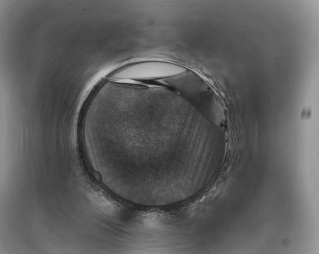 X0000096710200200802261637