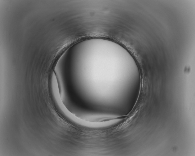 X0000096710201200802261637