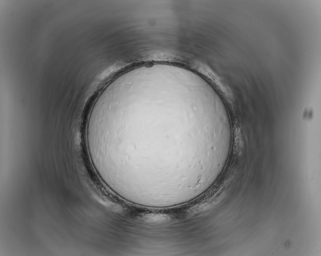 X0000096710203200802261637