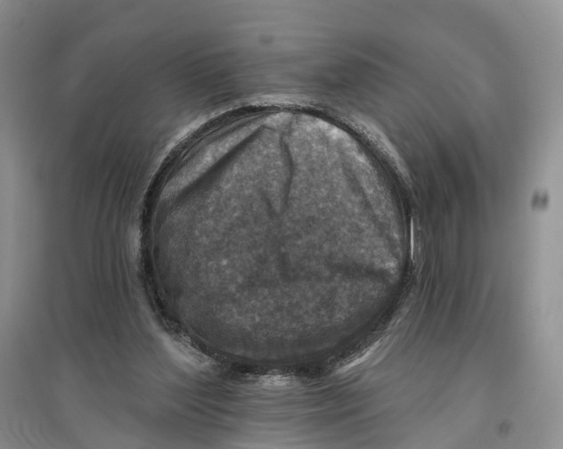 X0000096710204200802261637