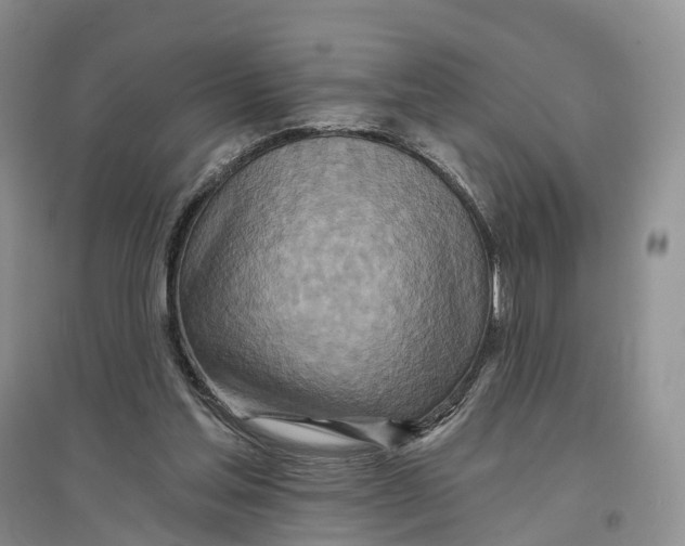 X0000096710205200802261637