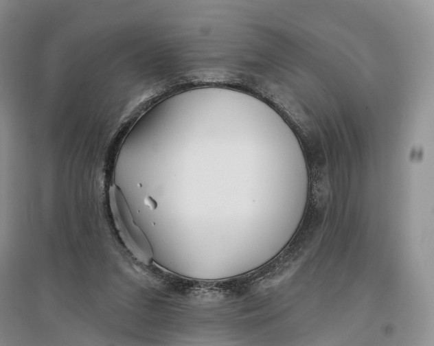 X0000096710207200802261637