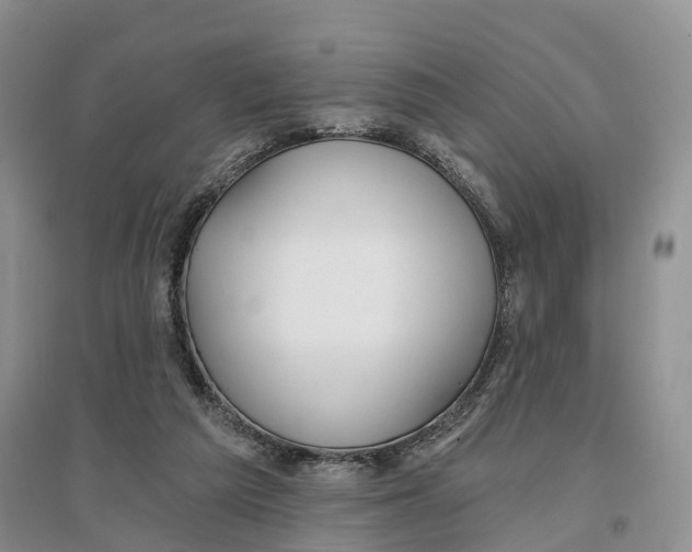 X0000096710209200802261637