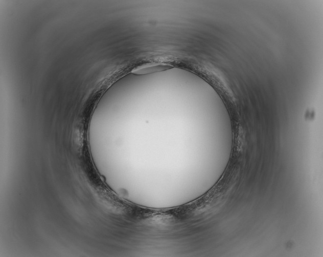 X0000096710210200802261637