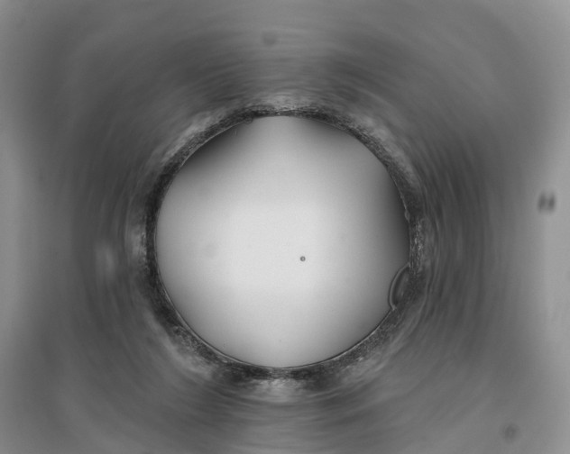 X0000096710212200802261637