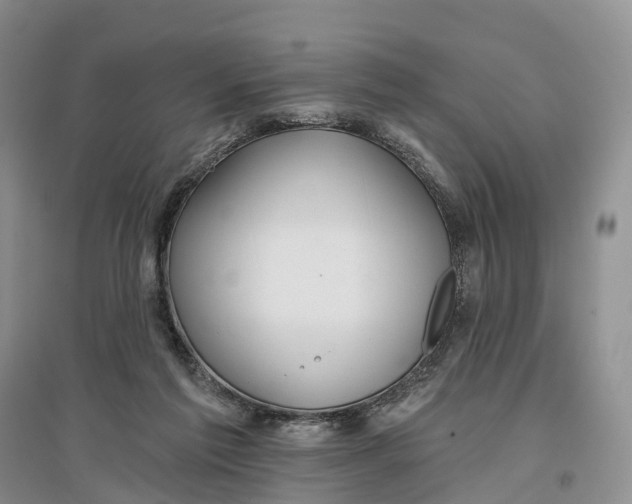 X0000096710213200802261637