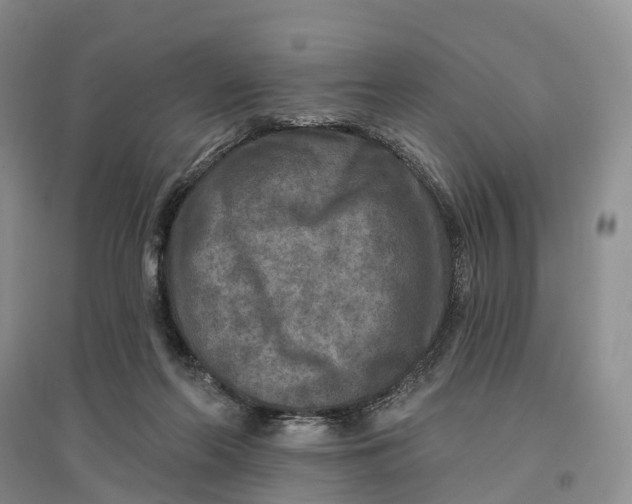 X0000096710214200802261637