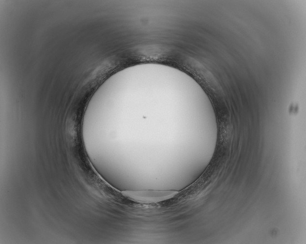 X0000096710215200802261637