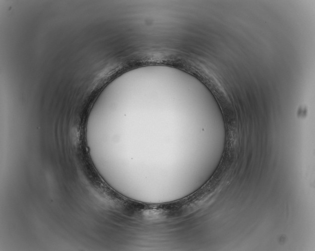 X0000096710216200802261637