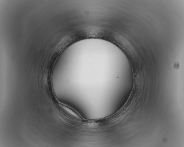 X0000096710217200802261637