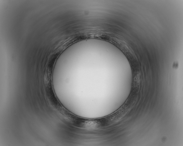 X0000096710218200802261637