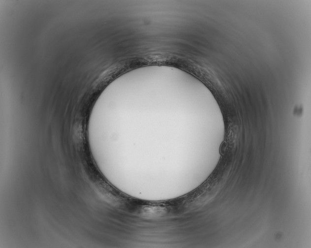 X0000096710220200802261637