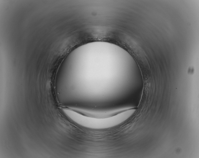 X0000096710221200802261637