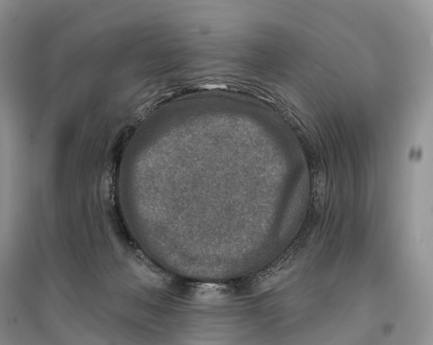 X0000096710222200802261637