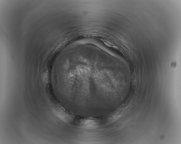 X0000096710224200802261637