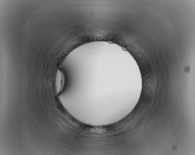 X0000096710225200802261637