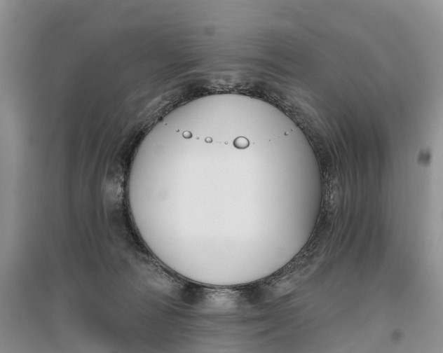 X0000096710226200802261637