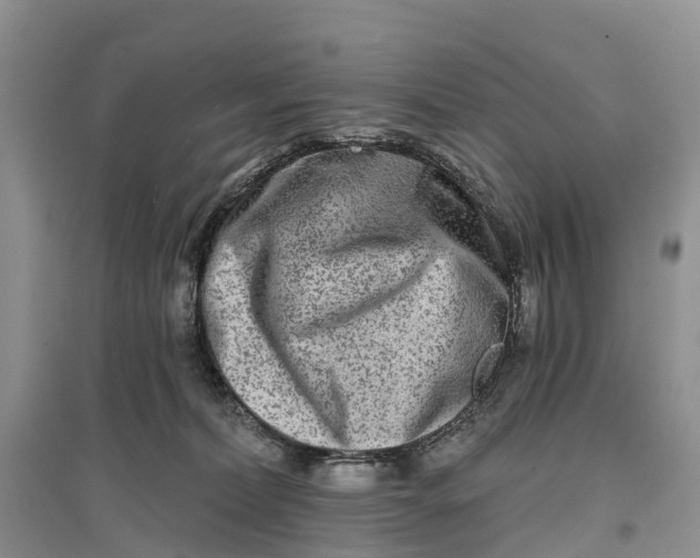 X0000096710228200802261637