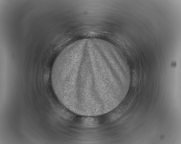 X0000096710230200802261637