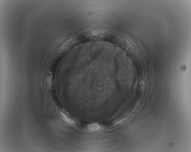 X0000096710231200802261637