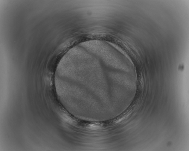 X0000096710232200802261637