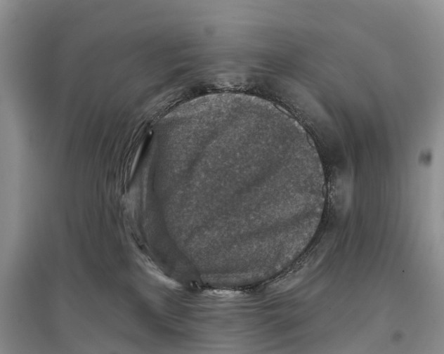 X0000096710233200802261637