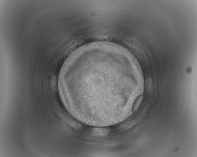 X0000096710234200802261637