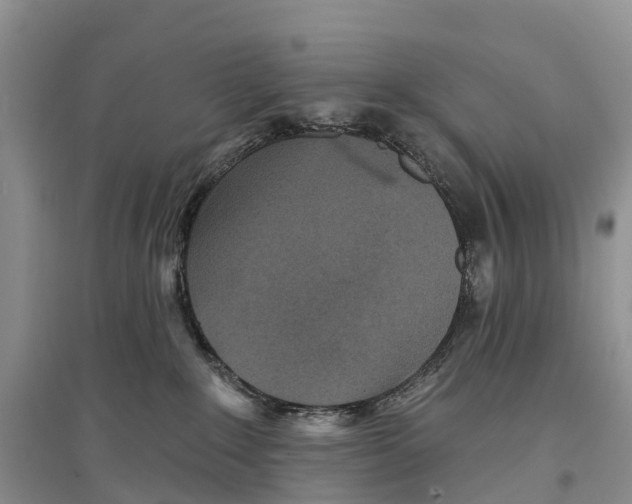 X0000096710235200802261637