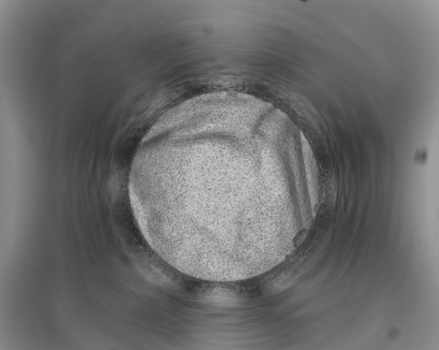 X0000096710236200802261637