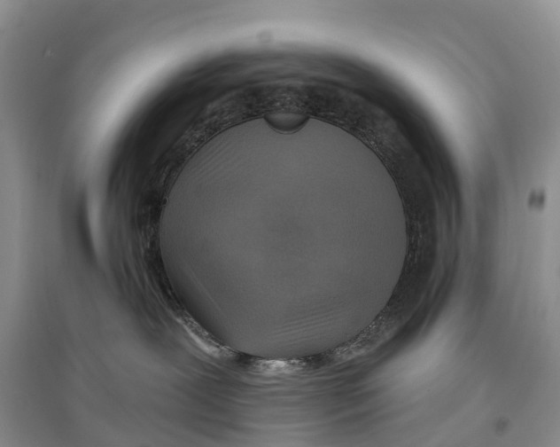 X0000096710239200802261637