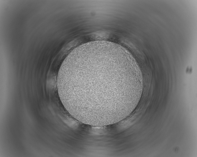 X0000096710240200802261637