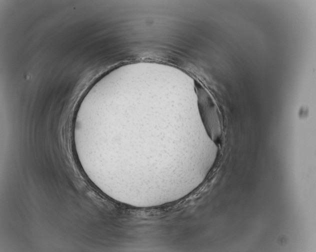 X0000096710241200802261636