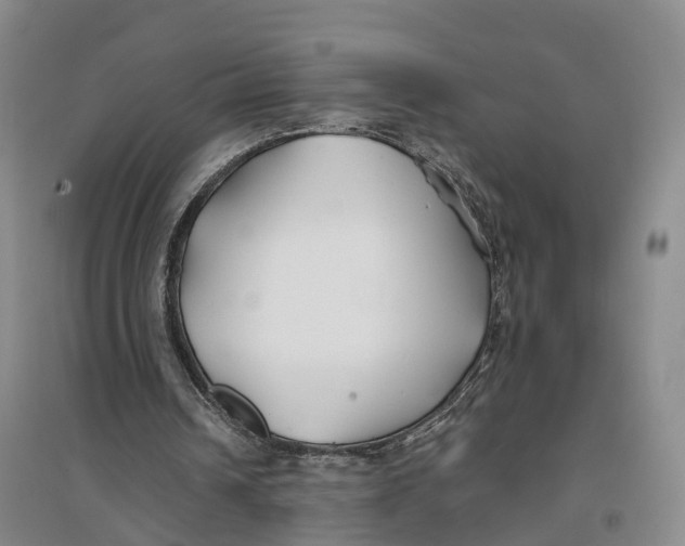 X0000096710242200802261636