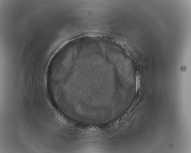 X0000096710243200802261636