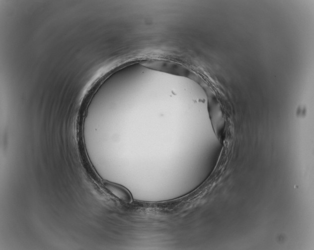 X0000096710244200802261636