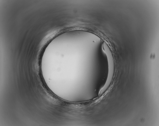 X0000096710245200802261636