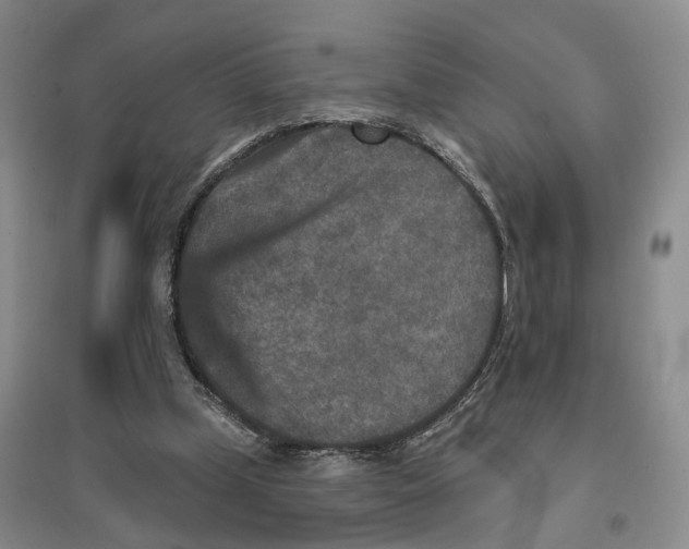 X0000096710249200802261636