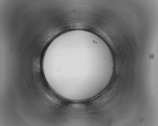 X0000096710251200802261636